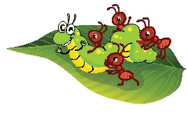 Toán lớp 3 trang 69 - Em làm được những gì - SGK Chân trời sáng tạo 14