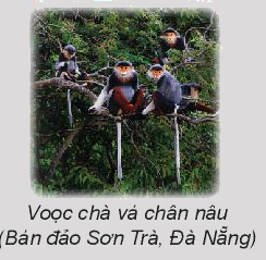 Toán lớp 3 trang 69 - Em làm được những gì - SGK Chân trời sáng tạo 3 1