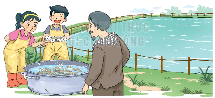 Toán lớp 3 trang 70 - Phép cộng trong phạm vi 100 000 - SGK Kết nối tri thức 7 1