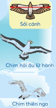 Toán lớp 3 trang 73 - Chia số có ba chữ số cho số có một chữ số - SGK Chân trời sáng tạo 10 1