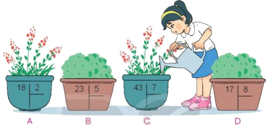 Toán lớp 3 trang 73 - Phép chia hết, phép chia có dư - SGK Kết nối tri thức 5