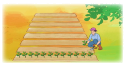 Toán lớp 3 trang 79 - Tìm thành phần chưa biết của phép tính (tiếp theo) - SGK Cánh diều 8