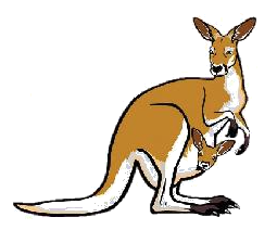 Toán lớp 3 trang 80 - Ôn tập các phép tính - SGK chân trời sáng tạo 9 1