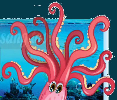 Toán lớp 3 trang 86 - Ôn tập các số trong phạm vi 1 000 - SGK Chân trời sáng tạo 5 1