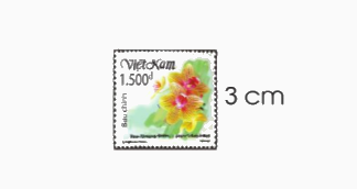 Toán lớp 3 trang 89 - Diện tích hình chữ nhật, diện tích hình vuông - SGK Cánh diều 2 2