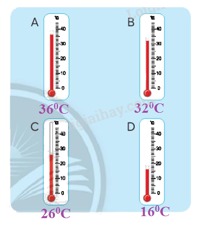 Toán lớp 3 trang 92 - Ôn tập hình học và đo lường - SGK Chân trời sáng tạo 6 3