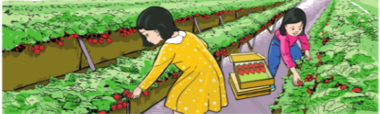 Toán lớp 3 trang 95 - Luyện tập chung - SGK Cánh diều 5