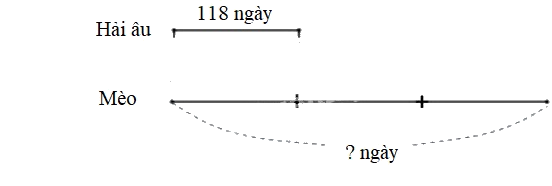 Toán lớp 3 trang 98 - Nhân số có ba chữ số với số có một chữ số - SGK Kết nối tri thức 6