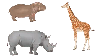 Toán lớp 4 trang 10 - Bài 2: Ôn tập phép cộng, phép trừ - SGK Chân trời sáng tạo 4