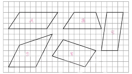 Toán lớp 4 trang 106 - Bài 31: Hình bình hành, hình thoi - SGK Kết nối tri thức 0 1