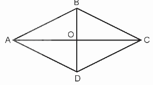 Toán lớp 4 trang 106 - Bài 31: Hình bình hành, hình thoi - SGK Kết nối tri thức 6 1