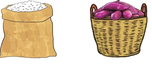 Toán lớp 4 trang 106 - Bài 48: Luyện tập - SGK Cánh diều 3