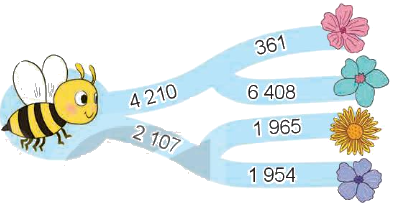 Toán lớp 4 trang 12 - Bài 3: Số chẵn, số lẻ - SGK Kết nối tri thức 3 1