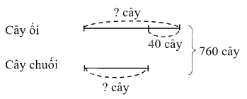 Toán lớp 4 trang 127 - Bài 37: Ôn tập chung - SGK Kết nối tri thức 13