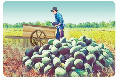 Toán lớp 4 trang 14 - Bài 9: Ôn tập về khối lượng - SGK Bình Minh 4