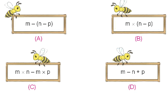 Toán lớp 4 trang 15 - Bài 4: Biểu thức chứa chữ - SGK Kết nối tri thức 9