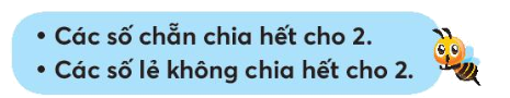 Toán lớp 4 trang 15 - Bài 4: Số chẵn, số lẻ - SGK Chân trời sáng tạo 6