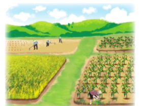 Toán lớp 4 trang 22 - Bài 61: So sánh hai phân số cùng mẫu số - SGK Cánh diều 4