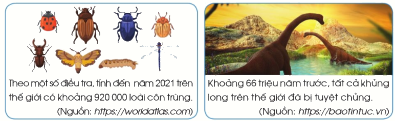 Toán lớp 4 trang 22 - Bài 8: Luyện tập - SGK Cánh diều 6