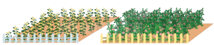 Toán lớp 4 trang 33 - Bài 48: Luyện tập chung - SGK Kết nối tri thức 2 1