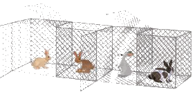 Toán lớp 4 trang 35 - Bài 15: Em làm được những gì - SGK Chân trời sáng tạo 6