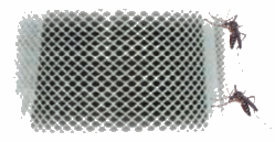 Toán lớp 4 trang 35 - Bài 57: Mi-li-mét vuông - SGK Chân trời sáng tạo 5 1