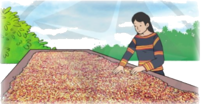 Toán lớp 4 trang 43 - Bài 18: Luyện tập - SGK Cánh diều 2 1