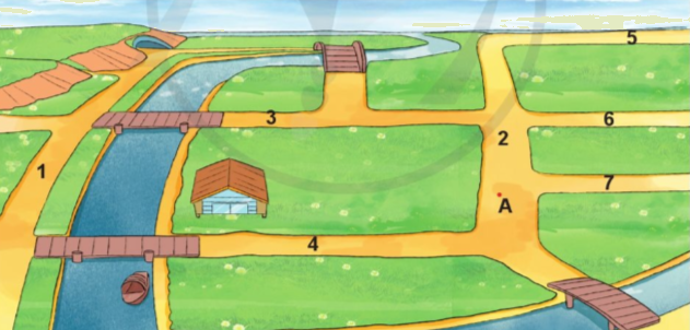 Toán lớp 4 trang 57 - Bài 23: Luyện tập chung - SGK Cánh diều 7