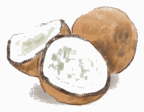 Toán lớp 4 trang 57 - Bài 24: Các số có sáu chữ số - Hàng và lớp - SGK Chân trời sáng tạo 10