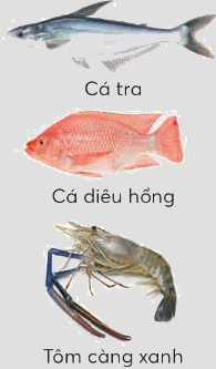 Toán lớp 4 trang 60 - Bài 25: Triệu - lớp triệu - SGK Chân trời sáng tạo 2