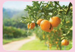 Toán lớp 4 trang 64 - Bài 27: So sánh và xếp thứ tự các số tự nhiên - SGK Chân trời sáng tạo 5 1