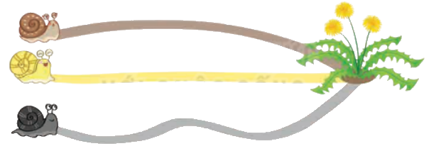 Toán lớp 4 trang 65 - Bài 58: So sánh phân số - SGK Kết nối tri thức 4 1