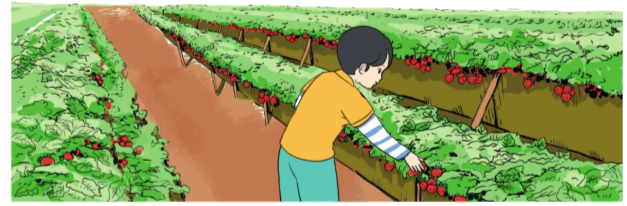 Toán lớp 4 trang 66 - Bài 82: Tìm phân số của một số - SGK Cánh diều 2 1