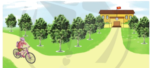 Toán lớp 4 trang 69 - Bài 28: Tìm số trung bình cộng - SGK Cánh diều 3 1