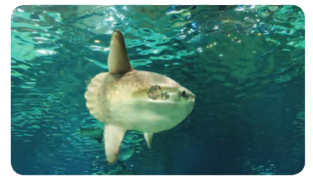 Toán lớp 4 trang 72 - Bài 78: Ôn tập số tự nhiên và các phép tính - SGK Chân trời sáng tạo 14 1