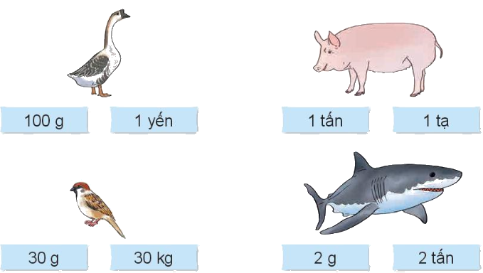 Toán lớp 4 trang 73 - Bài 21: Luyện tập chung - SGK Kết nối tri thức 7