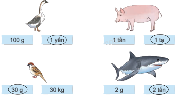 Toán lớp 4 trang 73 - Bài 21: Luyện tập chung - SGK Kết nối tri thức 8
