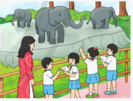 Toán lớp 4 trang 74 - Bài 86: Luyện tập chung - SGK Cánh diều 6 1