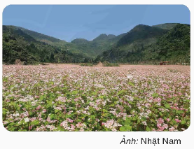 Toán lớp 4 trang 76 - Bài 149: Luyện tập chung - SGK Bình Minh 2 1