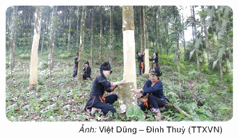 Toán lớp 4 trang 78 - Bài 151: Ôn tập chủ đề 5 - SGK Bình Minh 3