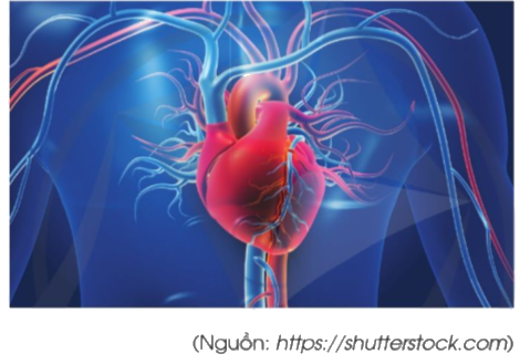 Toán lớp 4 trang 78 - Bài 32: Nhân với số có hai chữ số - SGK Cánh diều 3 1