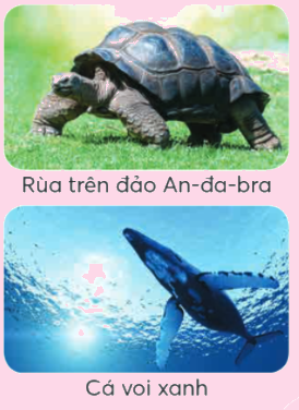 Toán lớp 4 trang 88 - Ôn tập học kì 1 - Ôn tập hình học và đo lường - SGK Chân trời sáng tạo 7