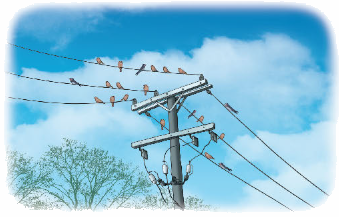 Toán lớp 4 trang 96 - Bài 65: Tìm phân số của một số - SGK Kết nối tri thức 4