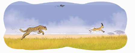 Toán lớp 4 trang 96 - Bài 65: Tìm phân số của một số - SGK Kết nối tri thức 6