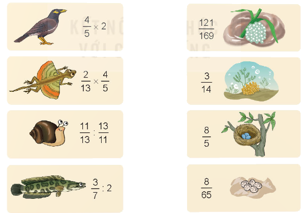 Toán lớp 4 trang 98 - Bài 66: Luyện tập chung - SGK Kết nối tri thức 5