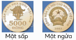 Toán lớp 5 Bài 100. Ôn tập một số yếu tố xác suất - SGK chân trời sáng tạo 1