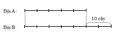 Toán lớp 5 Bài 12. Em làm được những gì - SGK chân trời sáng tạo 9