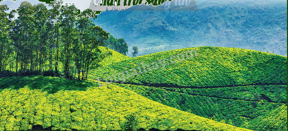 Toán lớp 5 Bài 13. Héc-ta - SGK chân trời sáng tạo 2