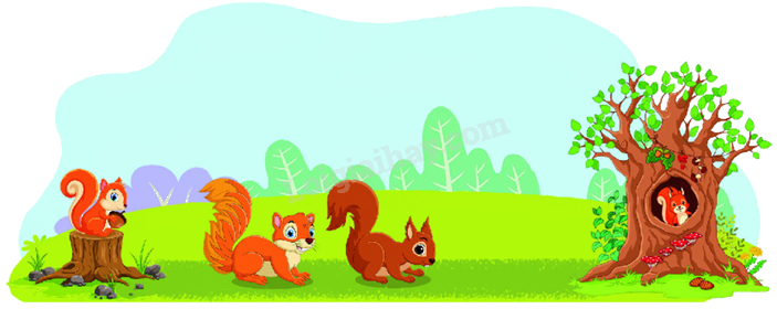 Toán lớp 5 Bài 139. Luyện tập - SGK Bình Minh 2