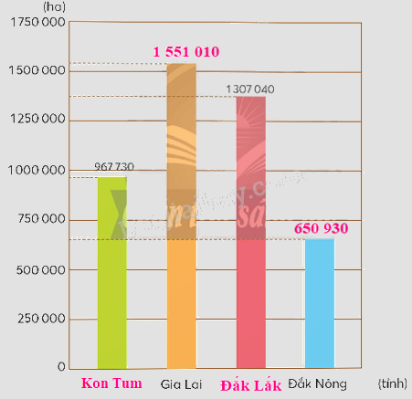 Toán lớp 5 Bài 16. Em làm được những gì - SGK chân trời sáng tạo 12